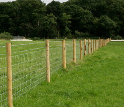 LAUKSAIMNIECĪBAS ŽOGS