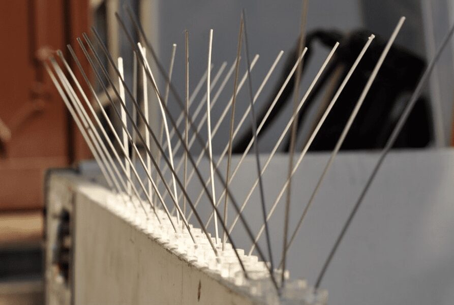 Jumtu un sētu aizsardzība pret putniem